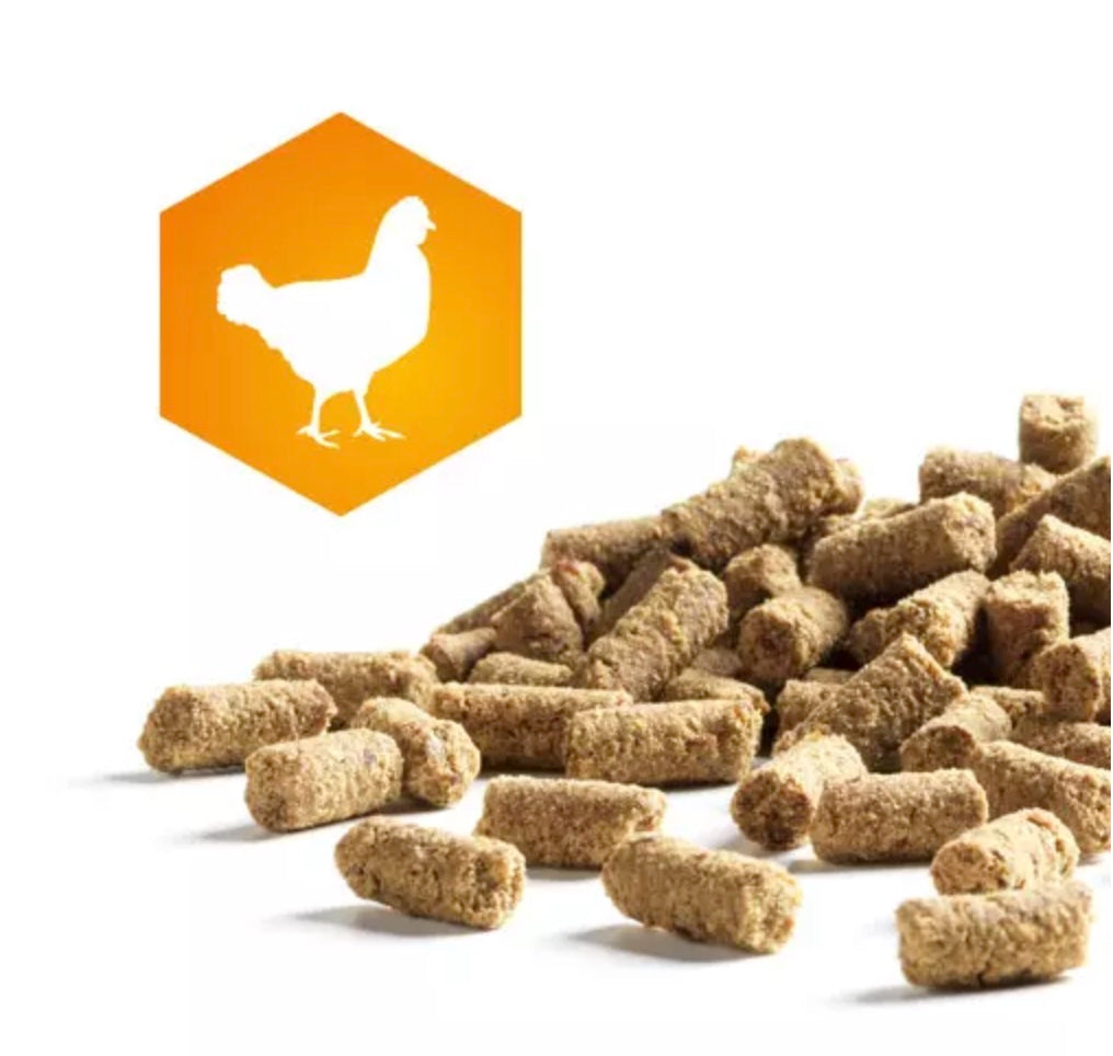 AktivDog Friandise de récompense Poulet