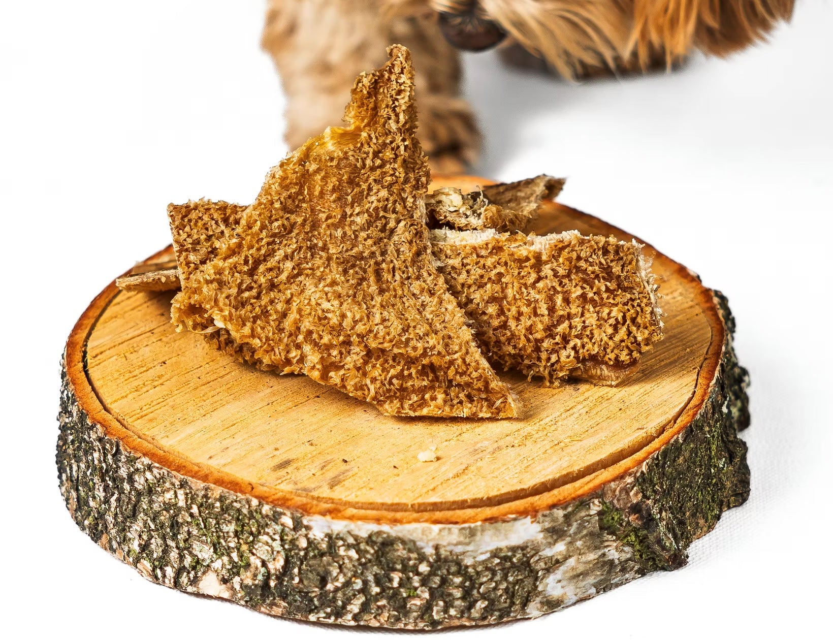Doggy Food Panses de bœuf séchées
