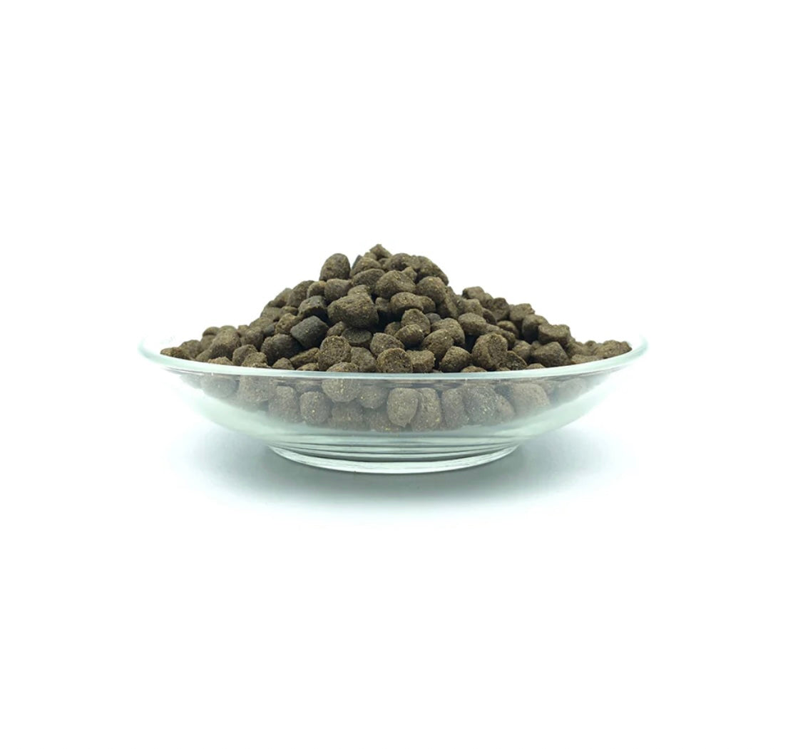 Croquettes Bellfor aux insectes - Festin de la ferme pour chiots