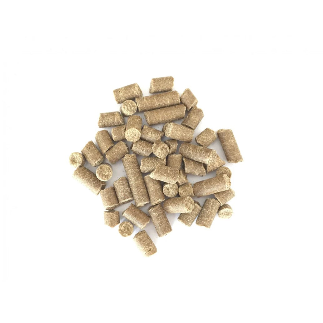 Bellfor croquettes aux insectes - Festin naturel pour grands chiens