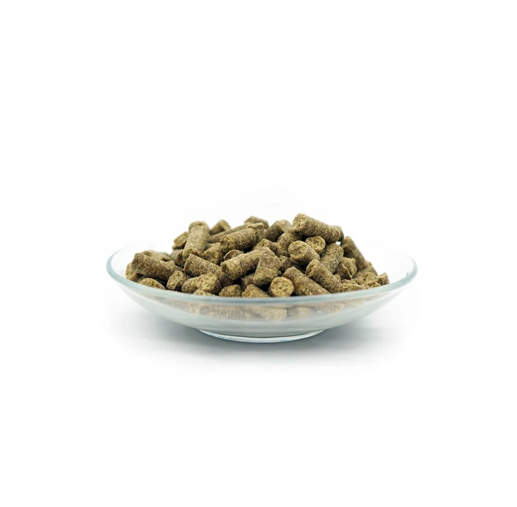 Bellfor Trockenfutter mit Insekten -  Naturgut-Schmaus für grosse Hunde