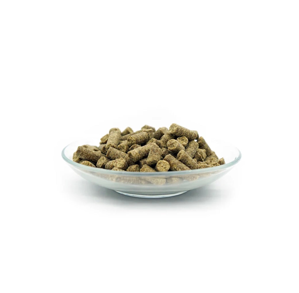Bellfor croquettes aux insectes - Festin naturel pour grands chiens